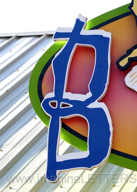 Wall_Art_Alphabet_Photography_Art_ 270.jpg